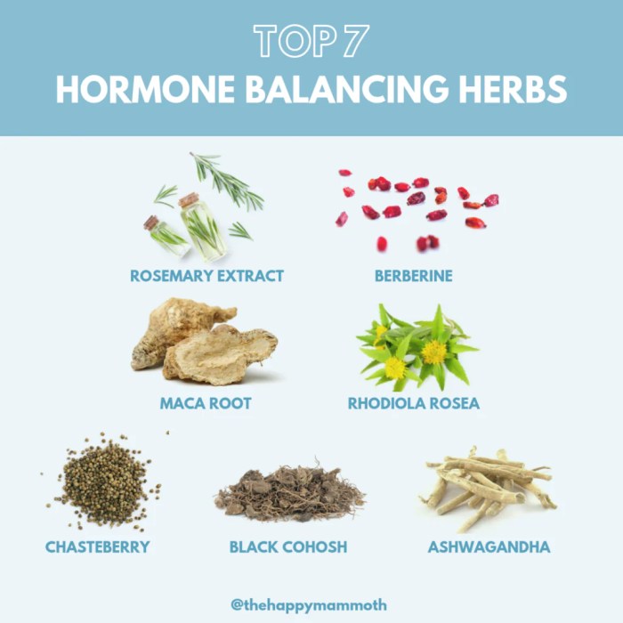 Hormones hormone dherbs remedies Herbs for balancing hormones naturally